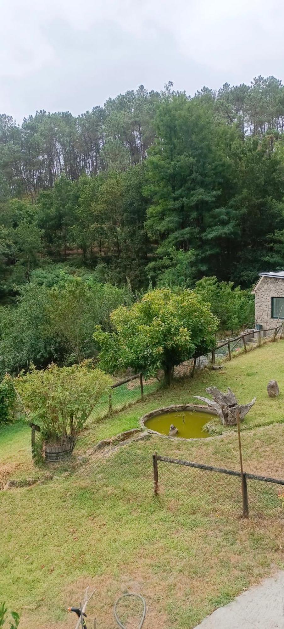 Eido Benito Villa Mondariz Luaran gambar